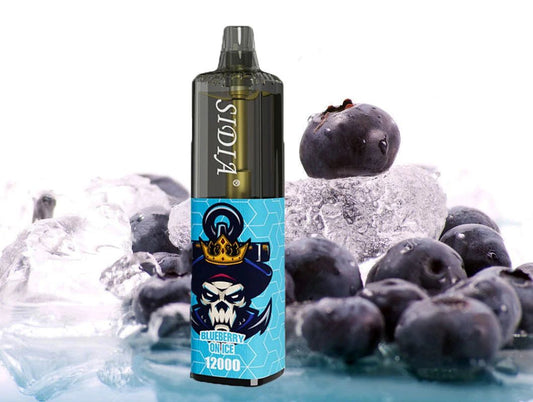 Vape 12 000 mil puff  -  Blueberry On Ice 🫐🧊